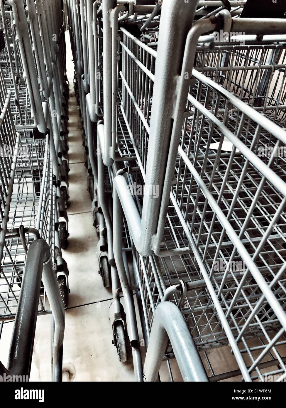 Closeup image of shopping carts / trolleys lined up in rows - Smartphone Captured Stock Image