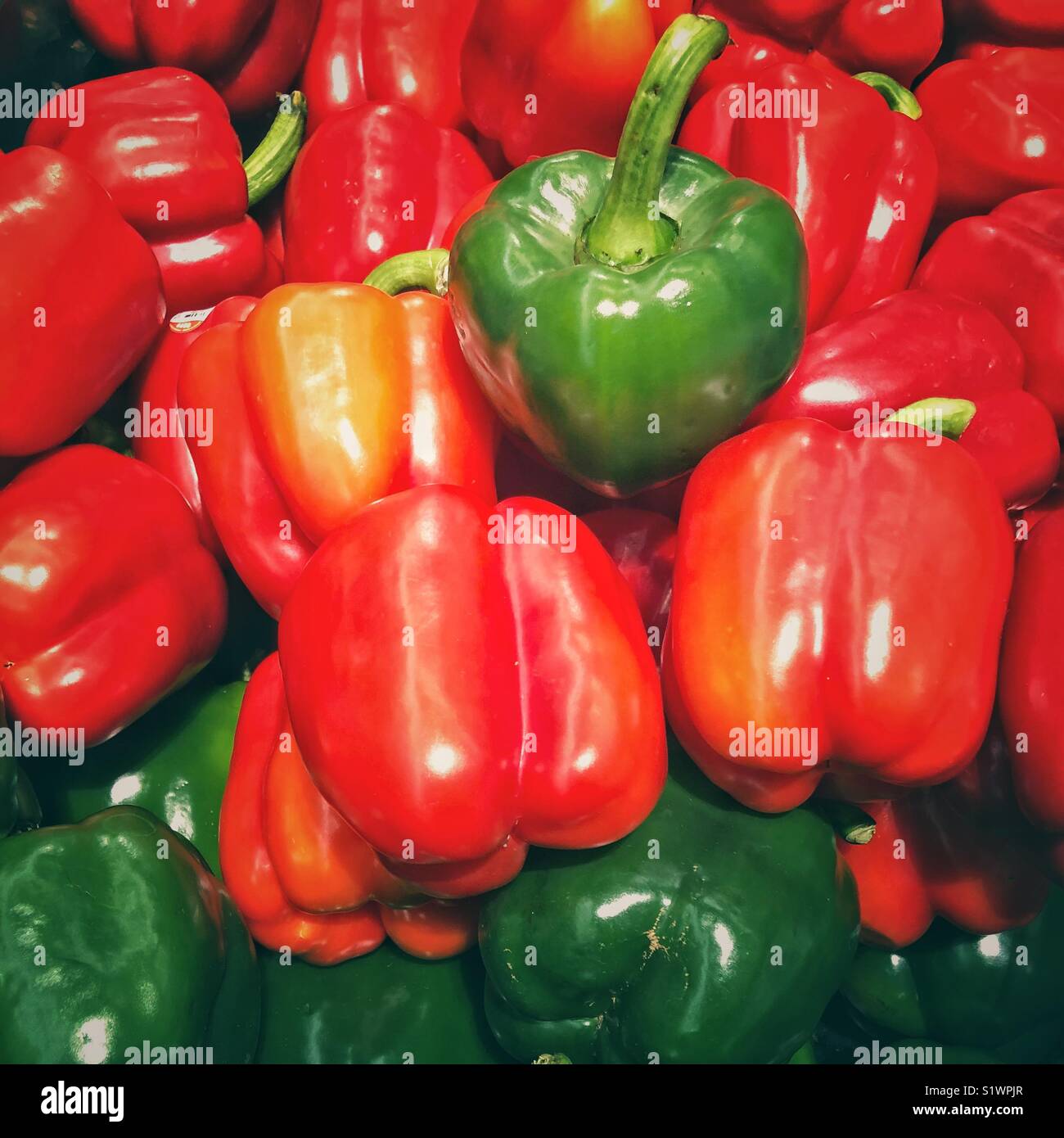Red and green sweet bell peppers Stock Photo - Alamy
