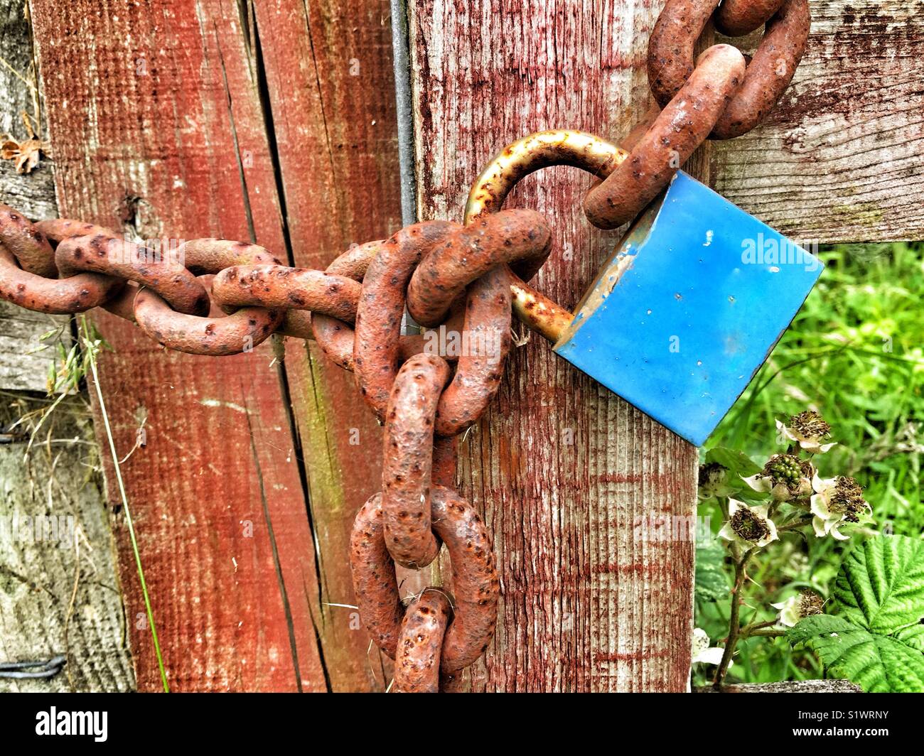 Rusty Padlock - Smartphone Captured Stock Image