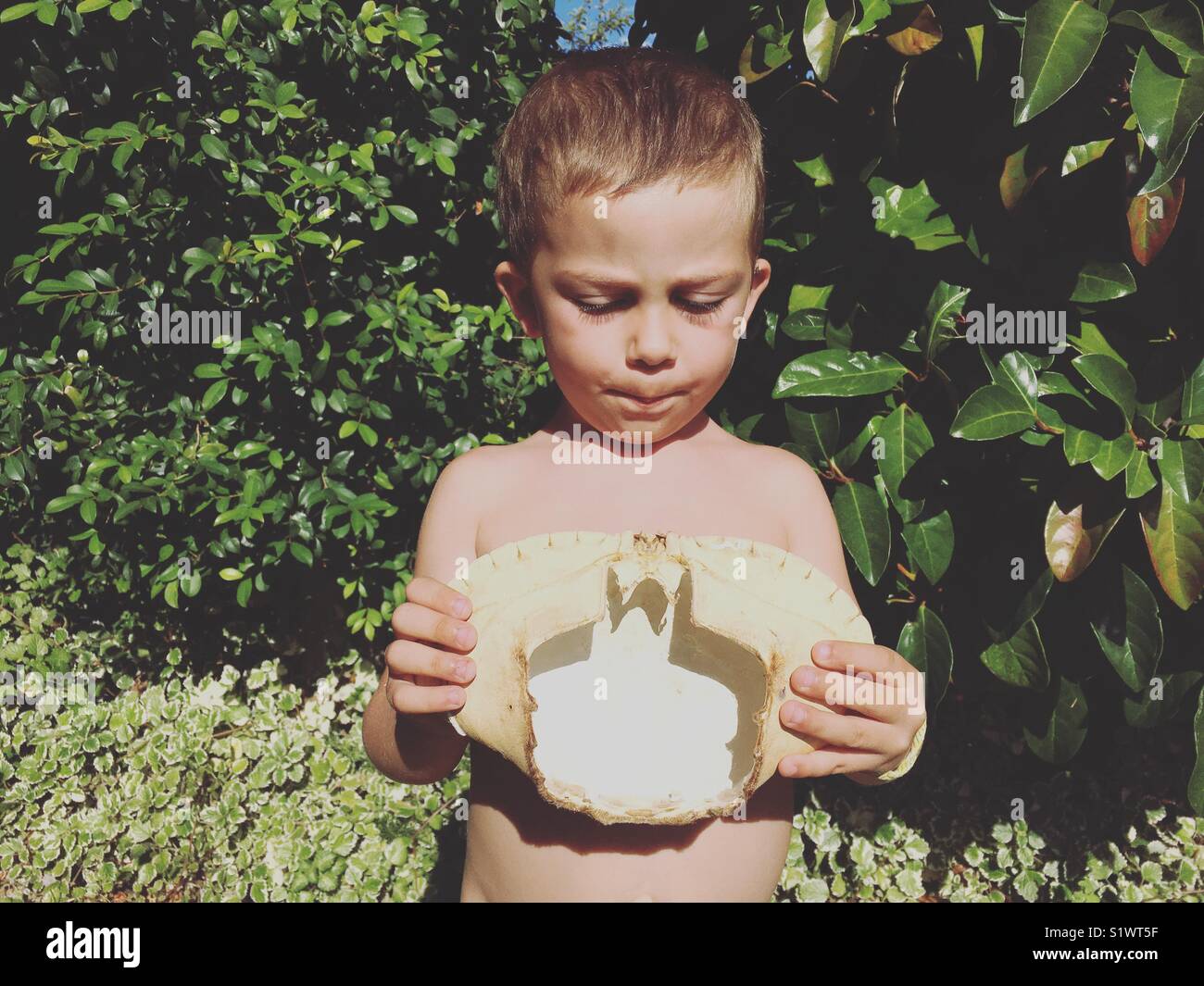 Boy meets crab. - Smartphone Captured Stock Image