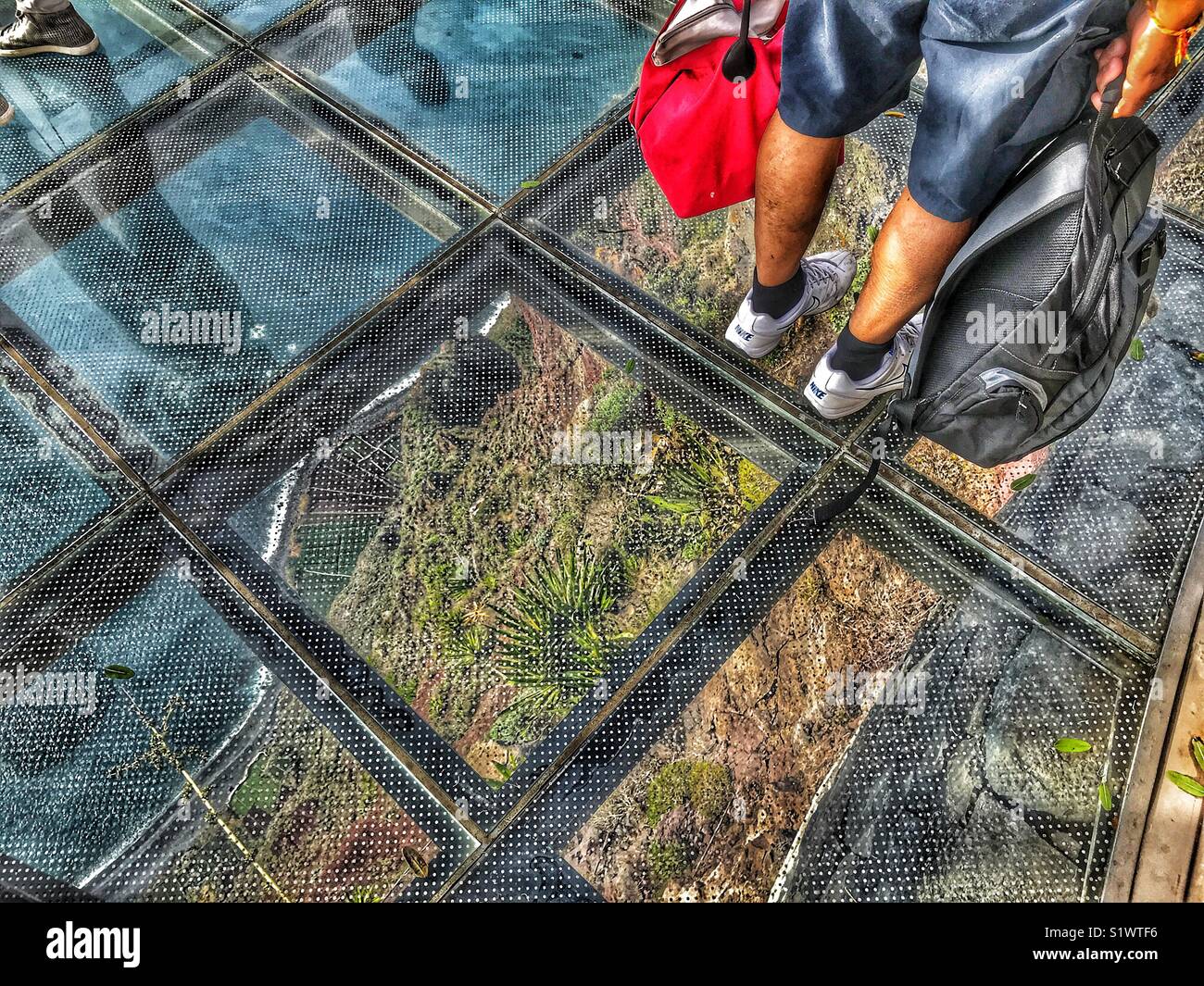 Person standing on the glass skywalk  viewing platform 580m above the sea, Miradouro do Cabo Girao, Madeira, Portugal - Smartphone Captured Stock Image