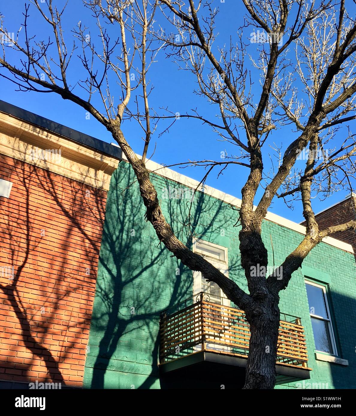 Shadows - Smartphone Captured Stock Image