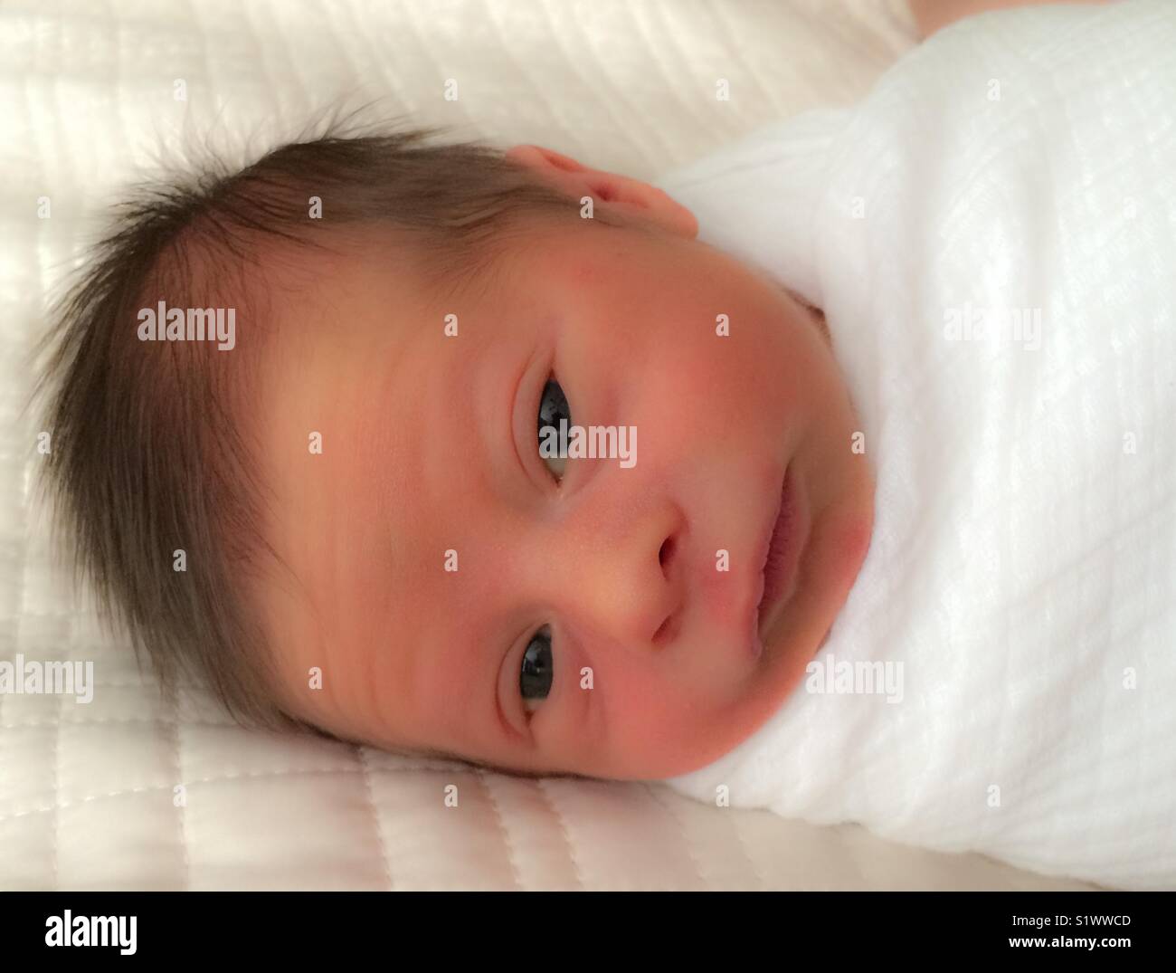 Newborn baby swaddled in a white blanket Stock Photo Alamy