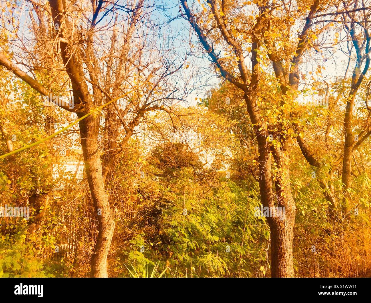 Autumn season in Beautiful city Islamabad Pakistan Stock Photo