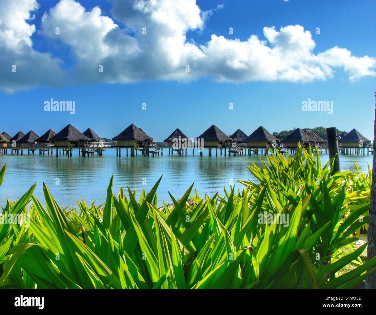 A bunch of over the water bungalows where honeymooners love to stay on the island of Bora-Bora French Polynesian in the South Pacific Stock Photo