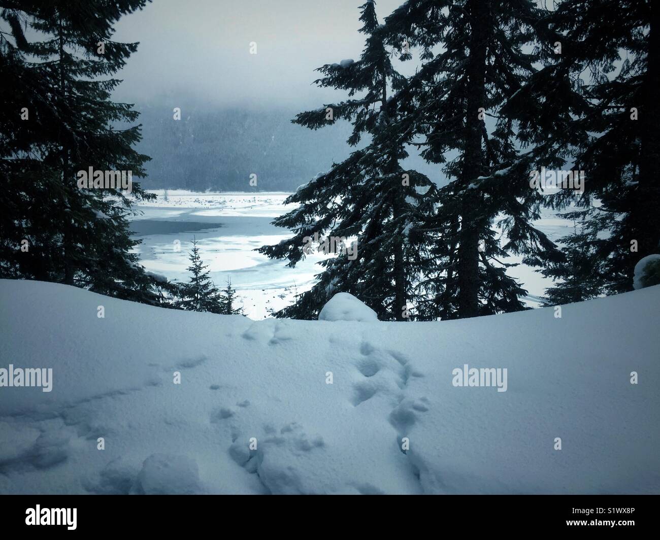 View on the frozen lake Keechelus near Snoqualmie pass from the trail in the snowy forest - Smartphone Captured Stock Image