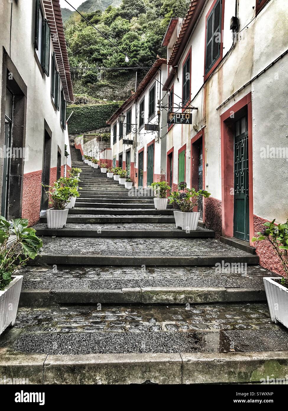 Village terraced houses up a steep street with steps, São Vicente, Madeira, Portugal - Smartphone Captured Stock Image