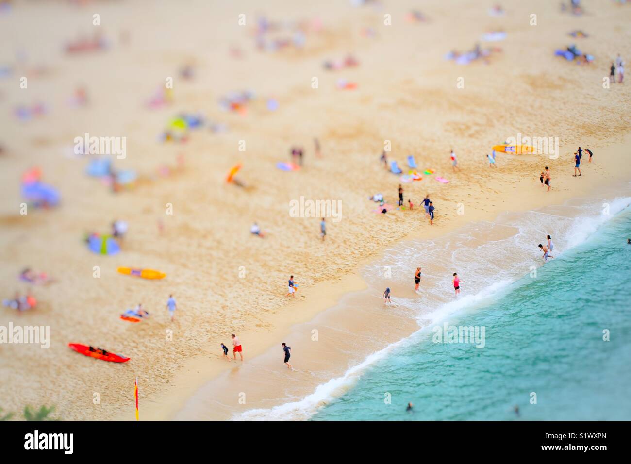 An aerial view of a busy sandy beach during summer vacation showing families and friends playing, surfing and swimming in the emerald, green ocean from above. Stock Photo