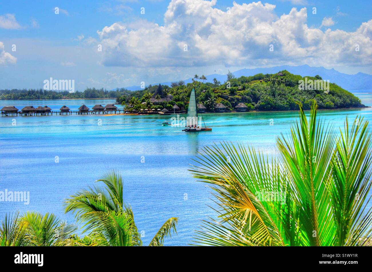 Sailboat out on the lagoon in Bora-Bora, French Polynesia. Ringer island in the background. - Smartphone Captured Stock Image