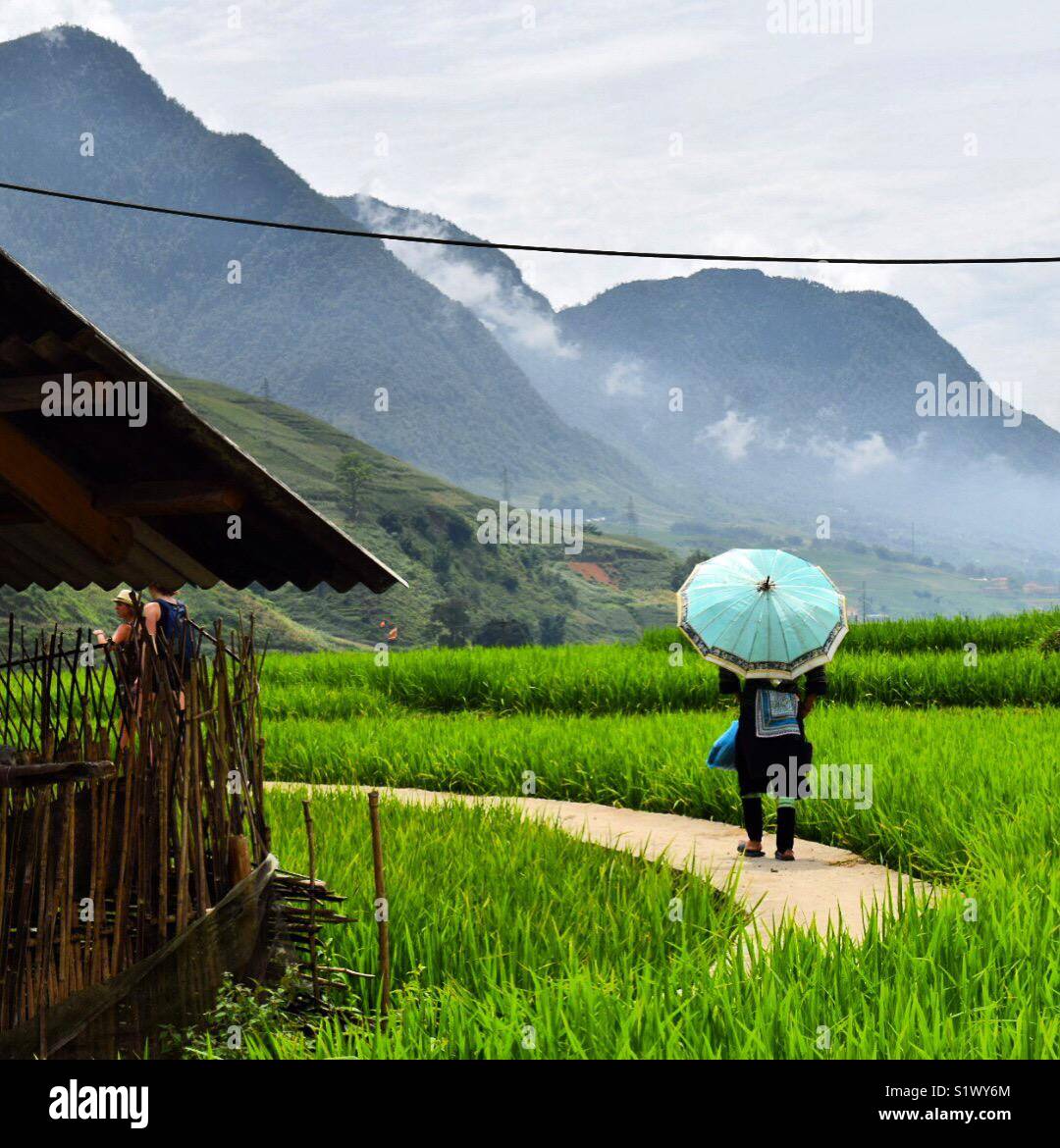 The beautiful valley of Sapa, Vietnam Stock Photo