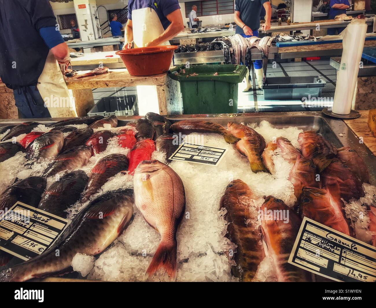 Freshly caught, different types of fish on ice for sale at the fish market, Mercado dos Lavradores, Funchal, Madeira, Portugal - Smartphone Captured Stock Image