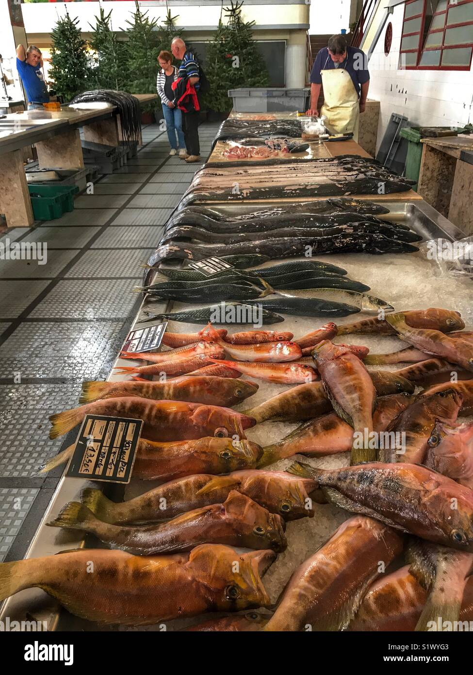 Fish counters with fish for sale, including black scabbardfish, at the fish market, Mercado dos Lavradores, Funchal, Madeira, Portugal Stock Photo