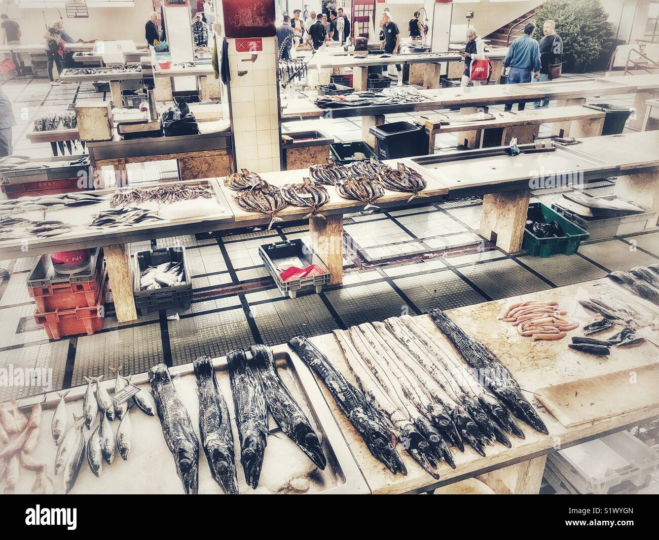 Fish counters with fish for sale, including black scabbardfish, at the fish market, Mercado dos Lavradores, Funchal, Madeira, Portugal Stock Photo