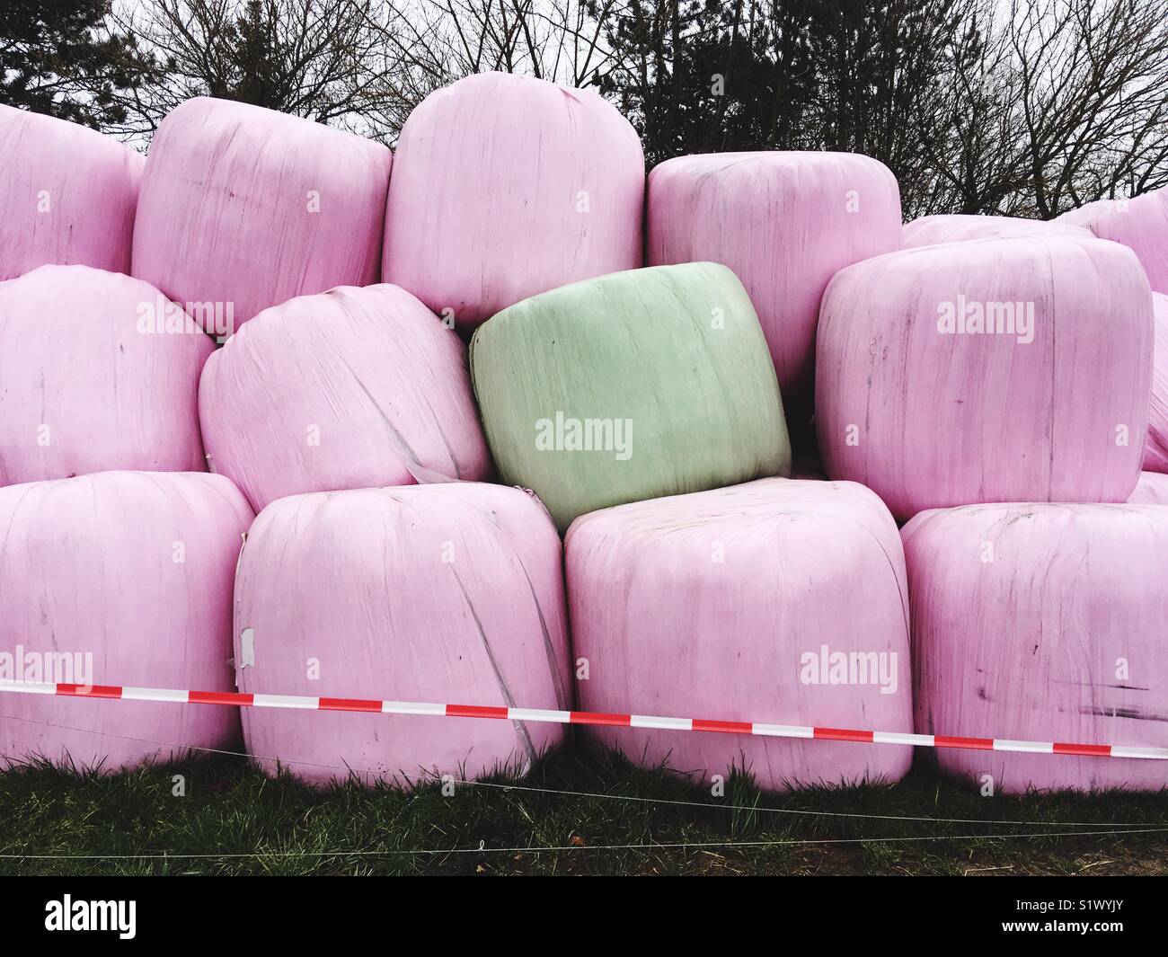 Stacked silage bales Stock Photo