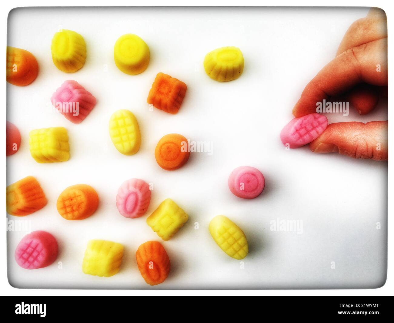 Sula soft gums - Smartphone Captured Stock Image