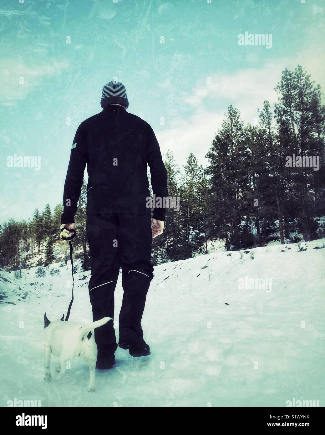 Man walking dog on a snow covered trail on a cold winter day Stock