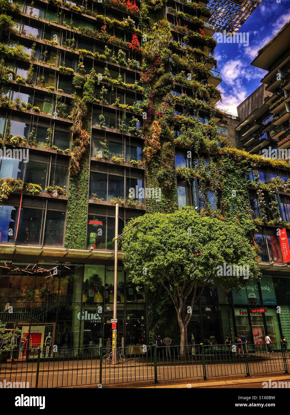 Central Park, a major mixed-use urban renewal project located on Broadway, Chippendale, in Sydney, Australia Stock Photo