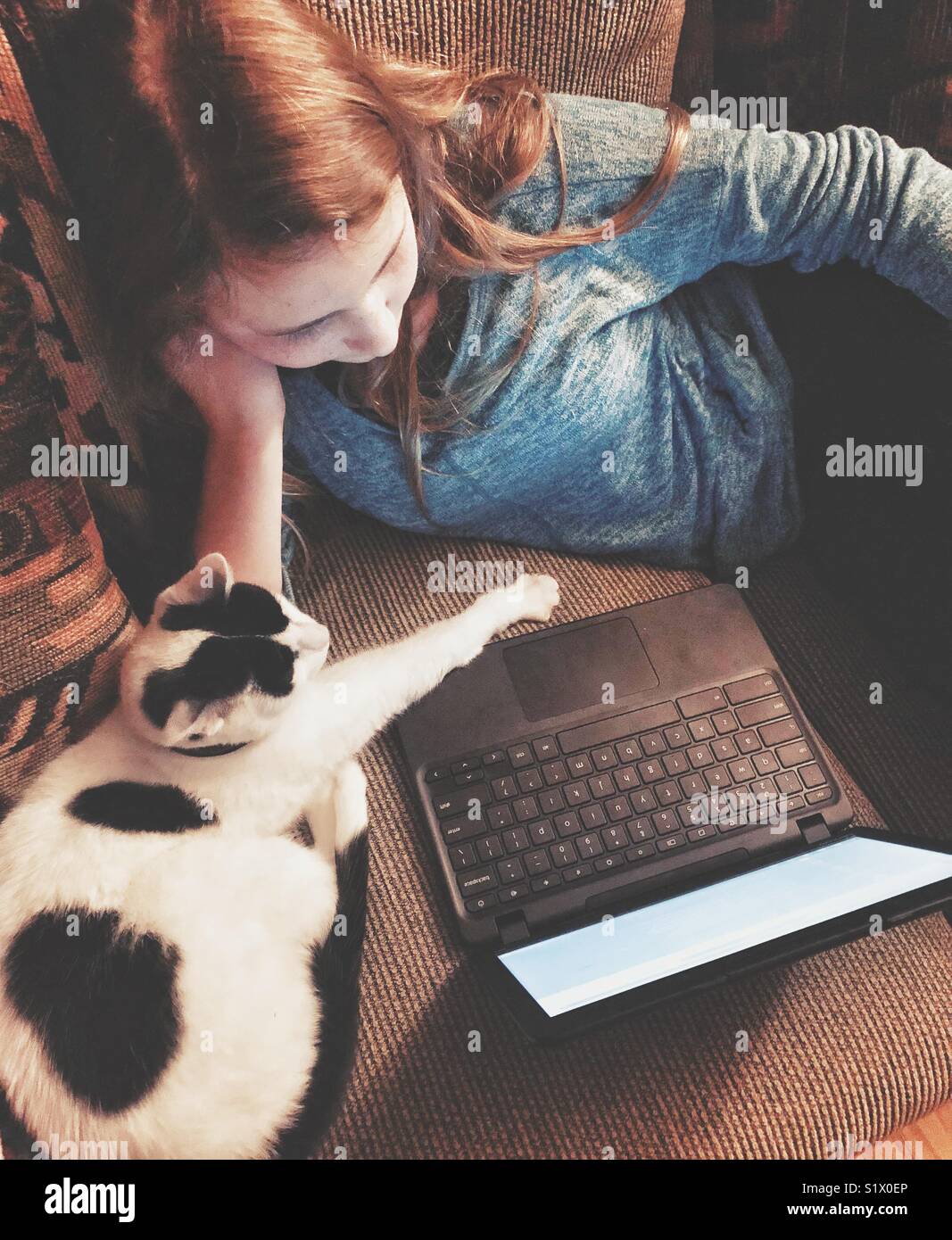Girl laying down on sofa using laptop with pet cat stretching paw over bottom near keyboard beside her - Smartphone Captured Stock Image