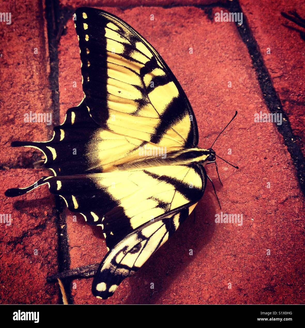 My Image 32