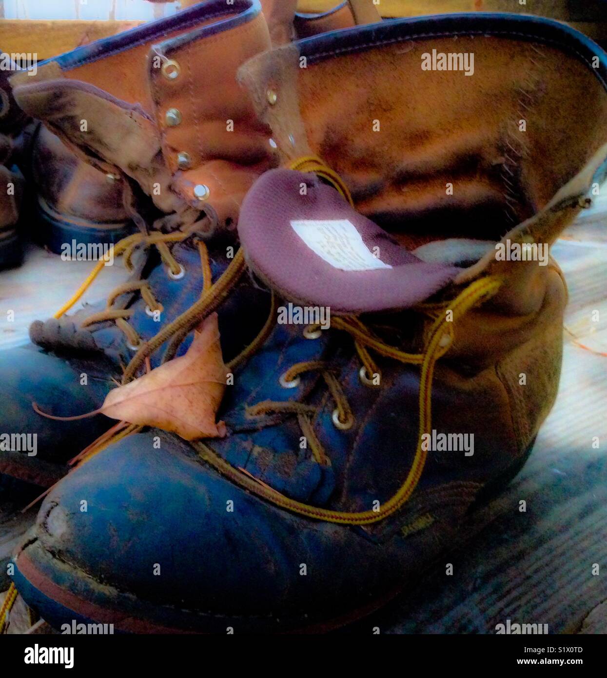 Worn work boots to be recycled as planters - Smartphone Captured Stock Image