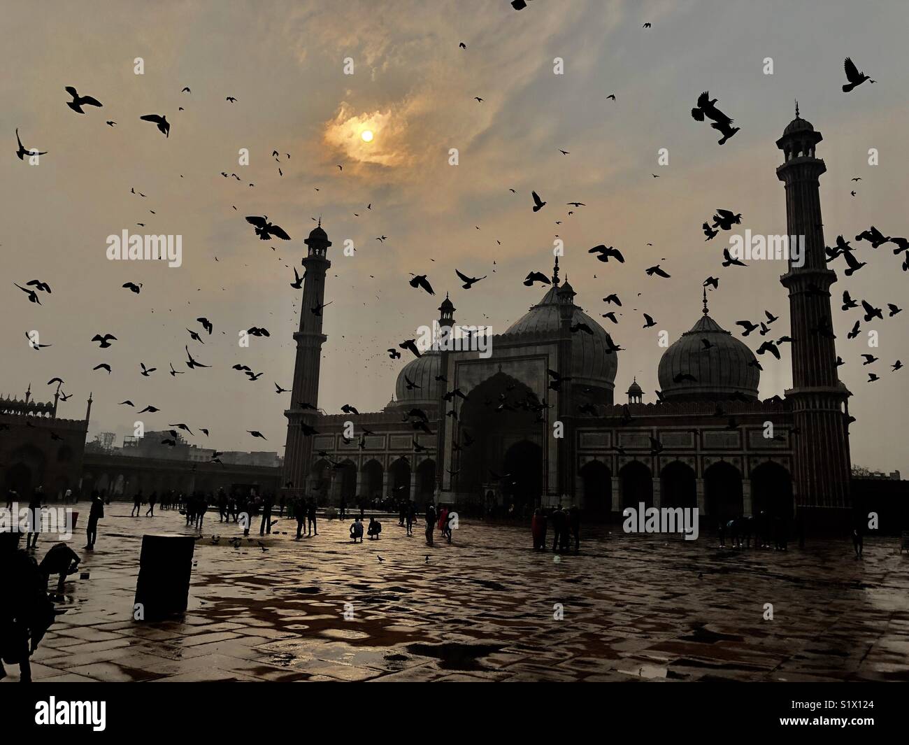 Sunset,cloudy and birds flying view of Historical "Jama masjid"Delhi ,India Stock Photo
