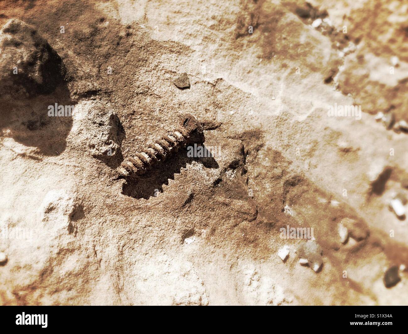 Screw Set On A Rock - Smartphone Captured Stock Image