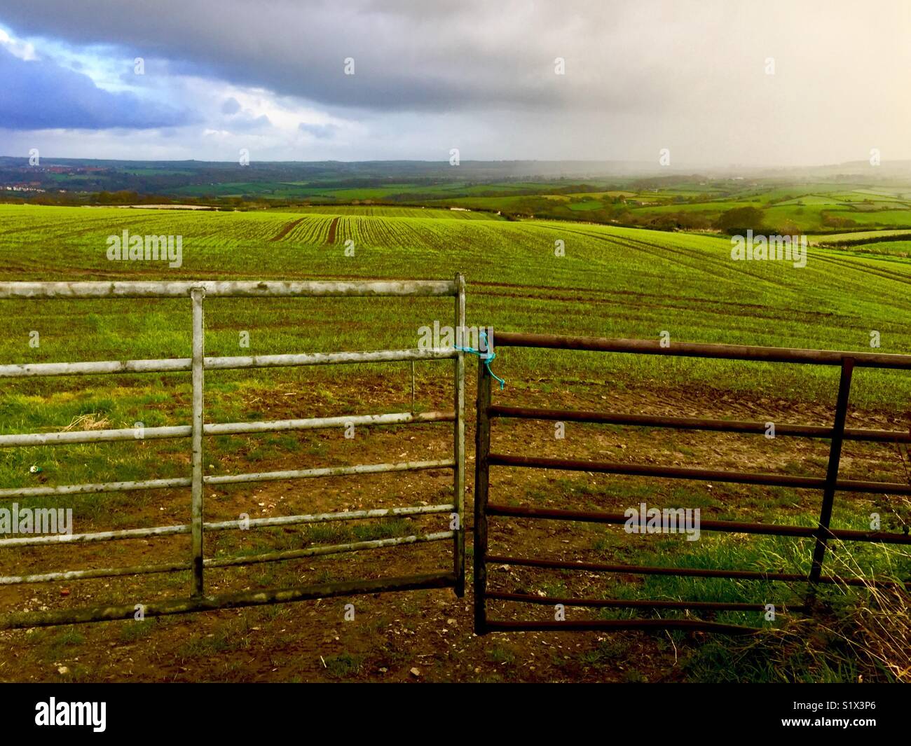 The grass is always greener Stock Photo Alamy