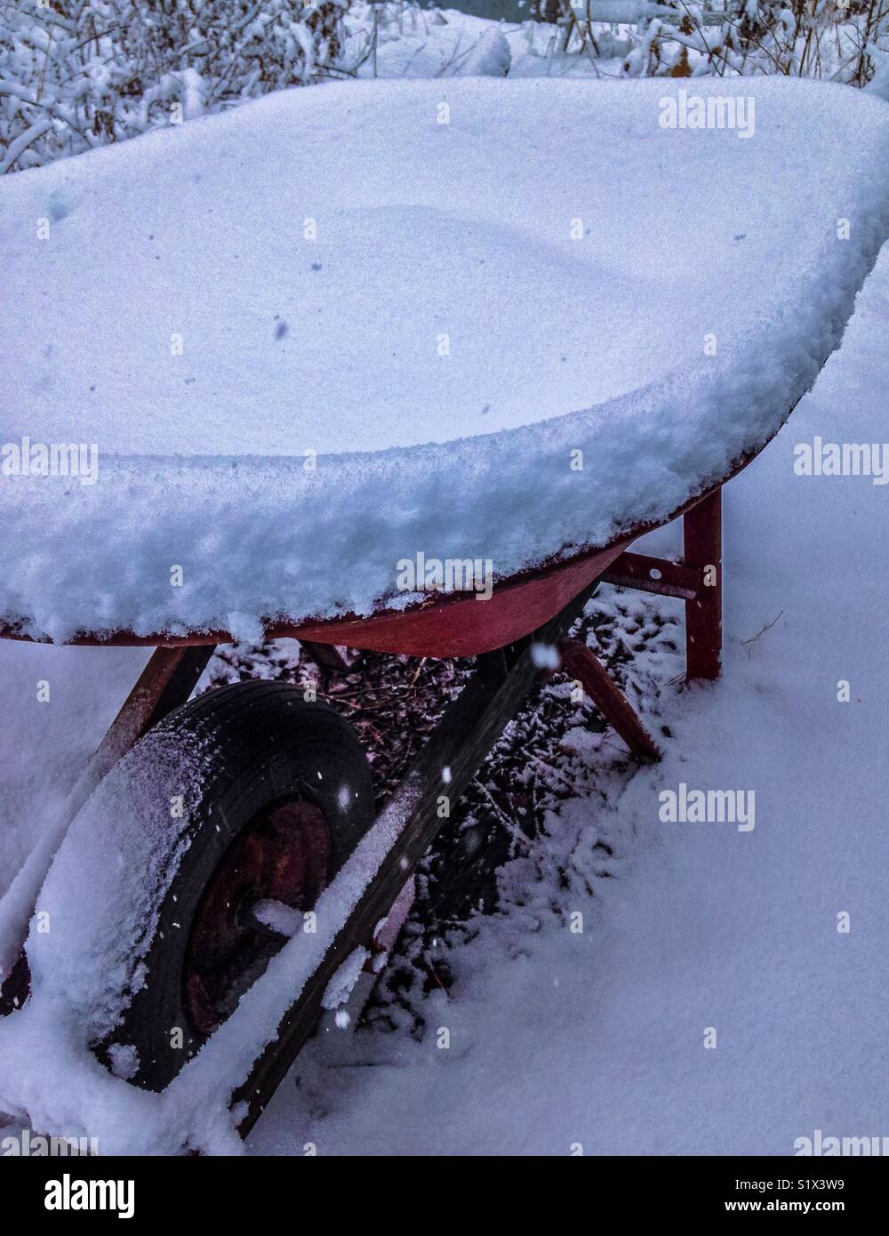 Red wheelbarrow in January snowfall North Carolina Stock Photo Alamy