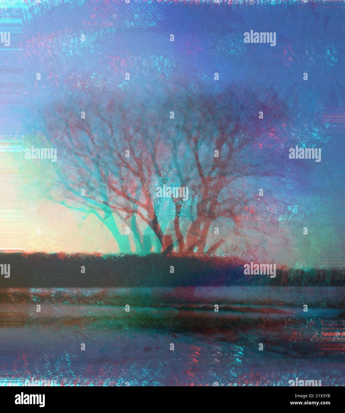 Winter tree - Smartphone Captured Stock Image