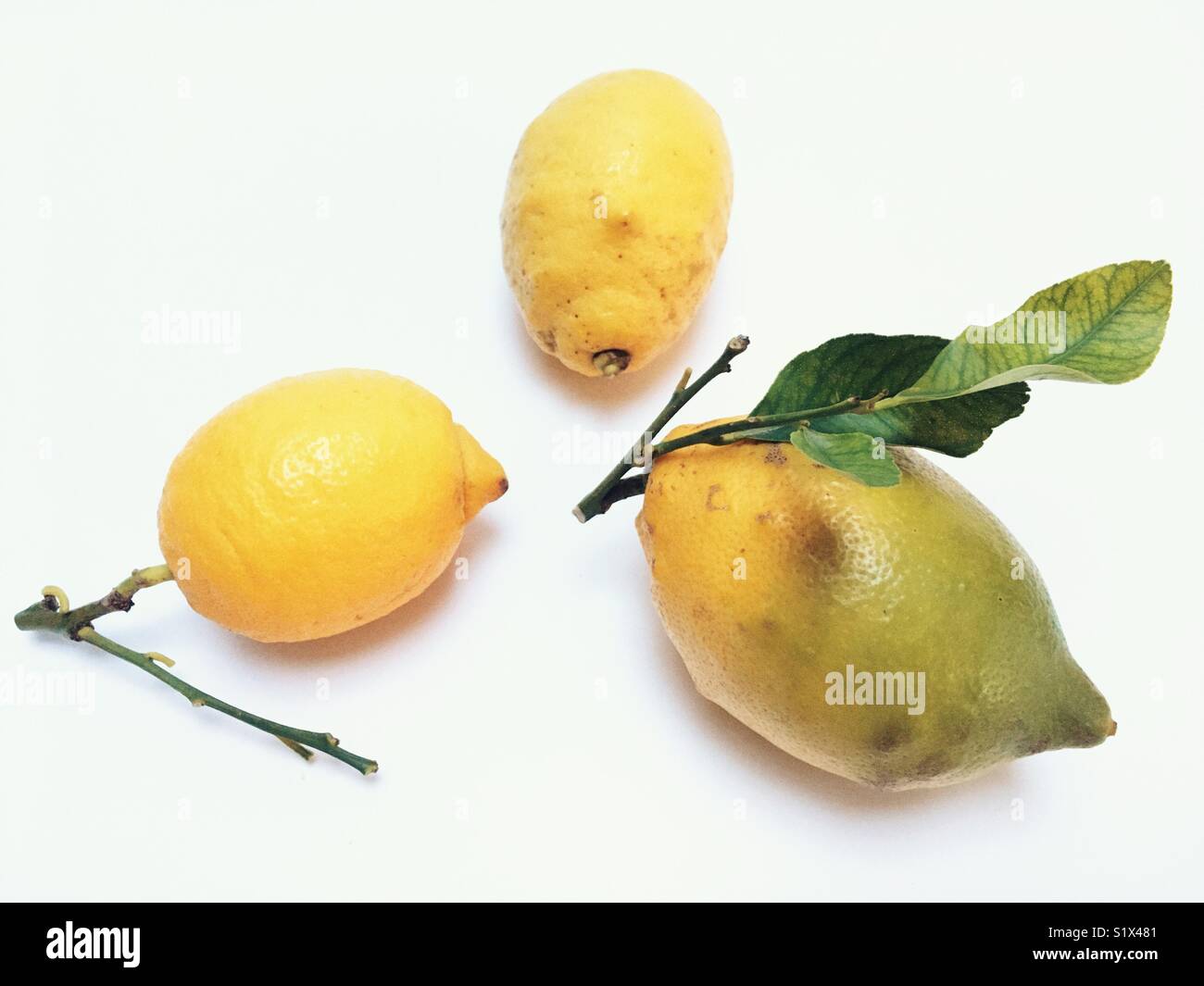 Sicilian lemons on sale Stock Photo - Alamy