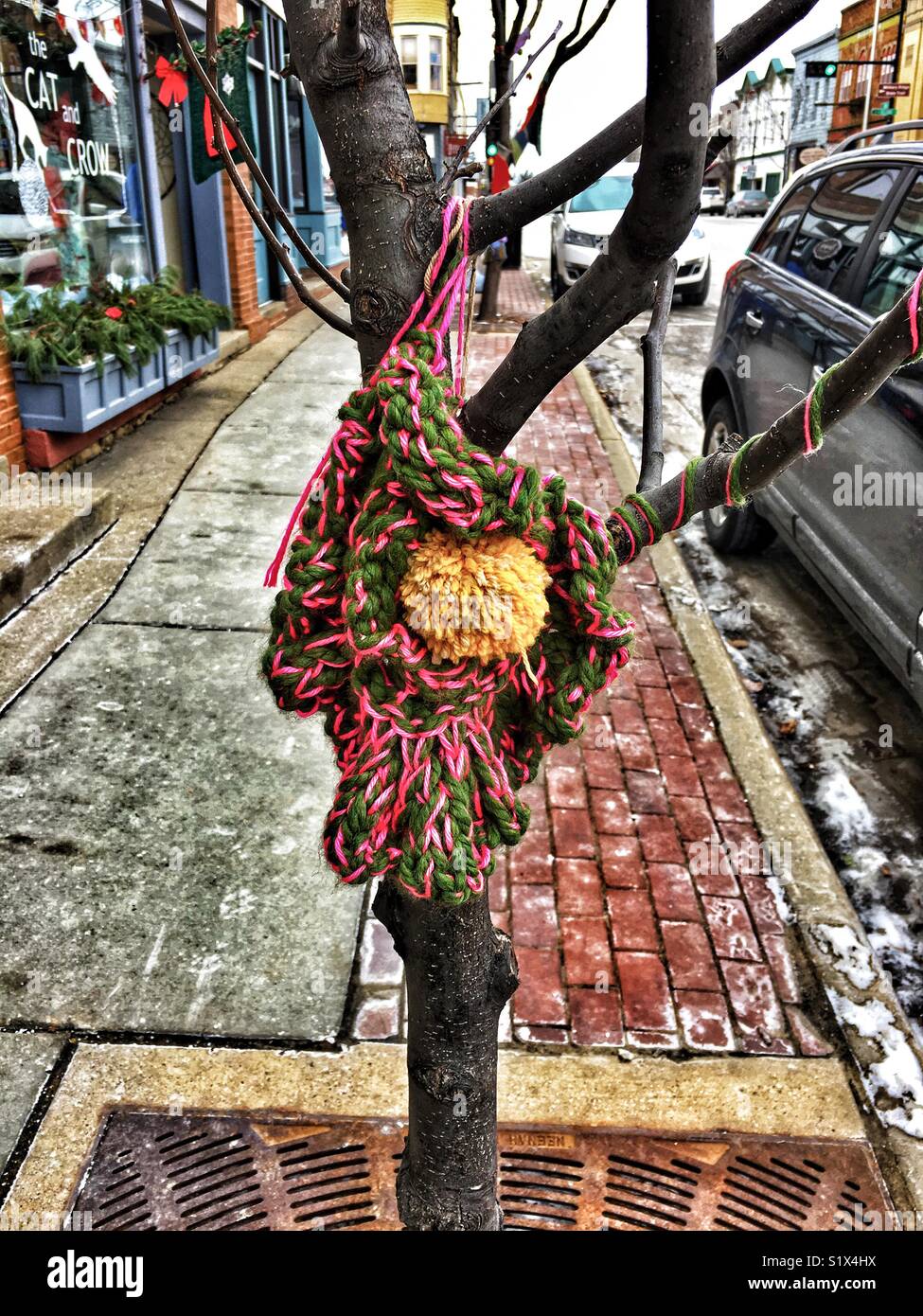 Knot of yarn attached to a tree, Mount Horeb, WI - Smartphone Captured Stock Image