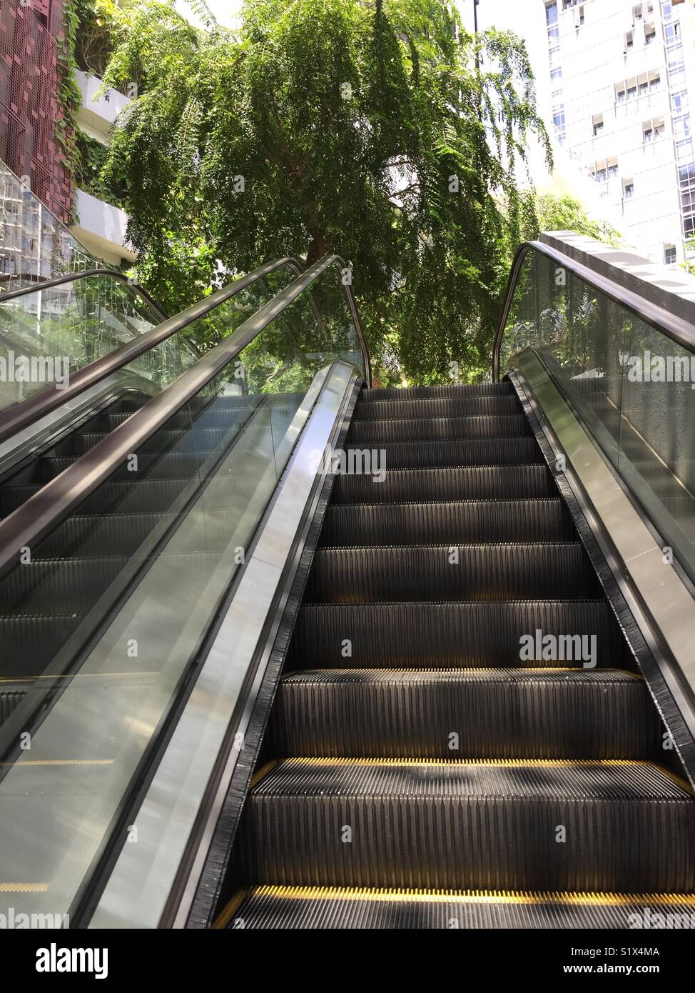 Up riding escalator steps Stock Photo Alamy