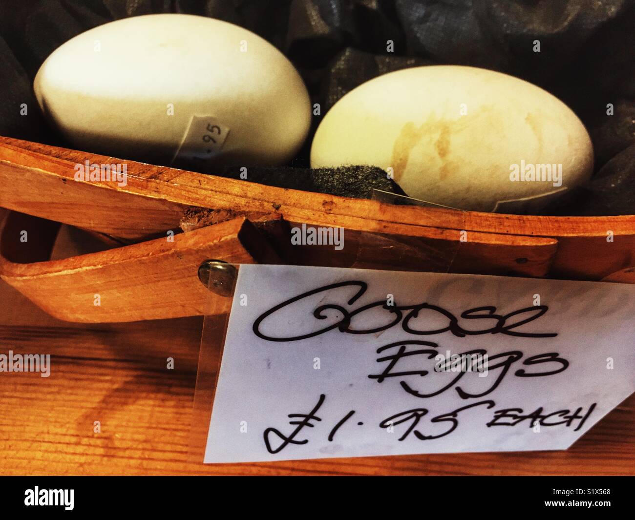 Goose eggs for sale Stock Photo Alamy