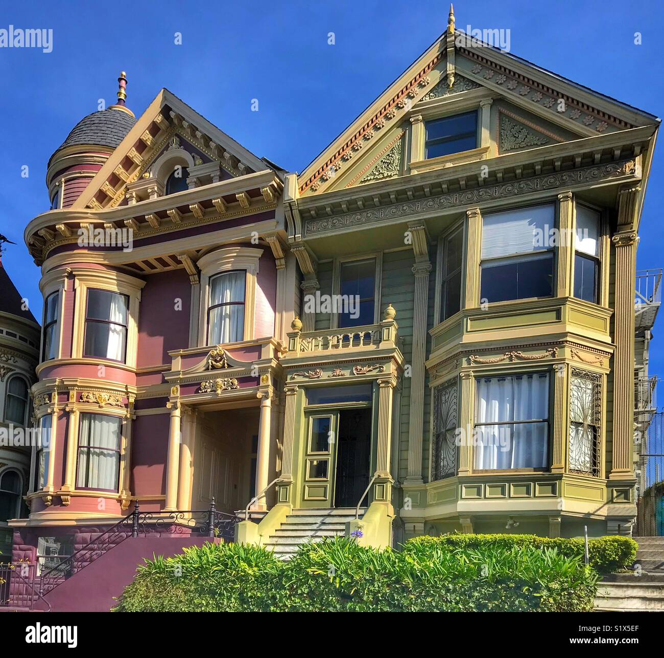 Painted lady, houses, San Francisco - Smartphone Captured Stock Image
