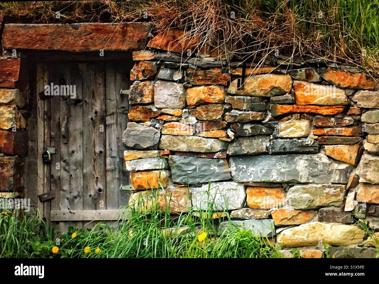 Root cellar  door, Newfoundland, Canada - Smartphone Captured Stock Image