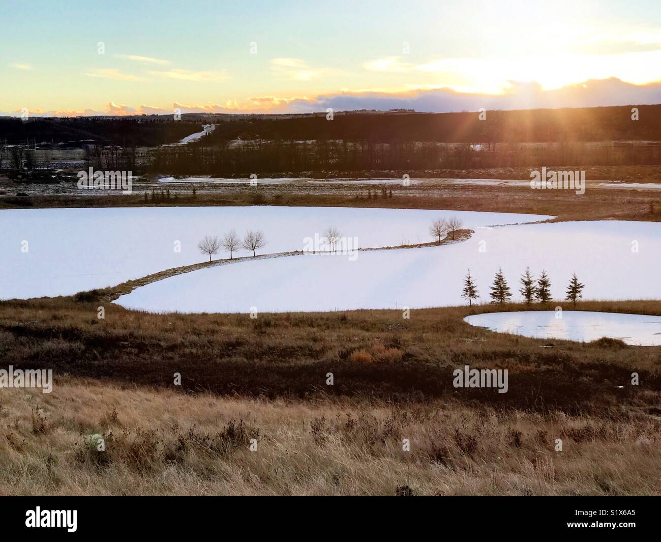 A snow-covered pond with graceful lines. - Smartphone Captured Stock Image