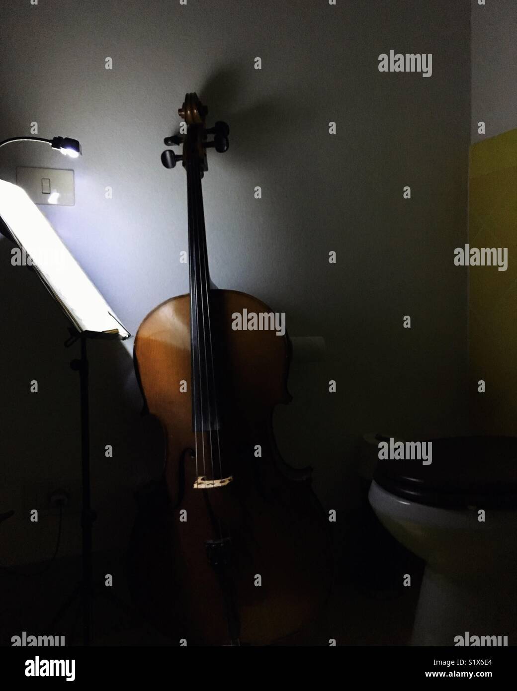 Music in the bathroom Stock Photo Alamy