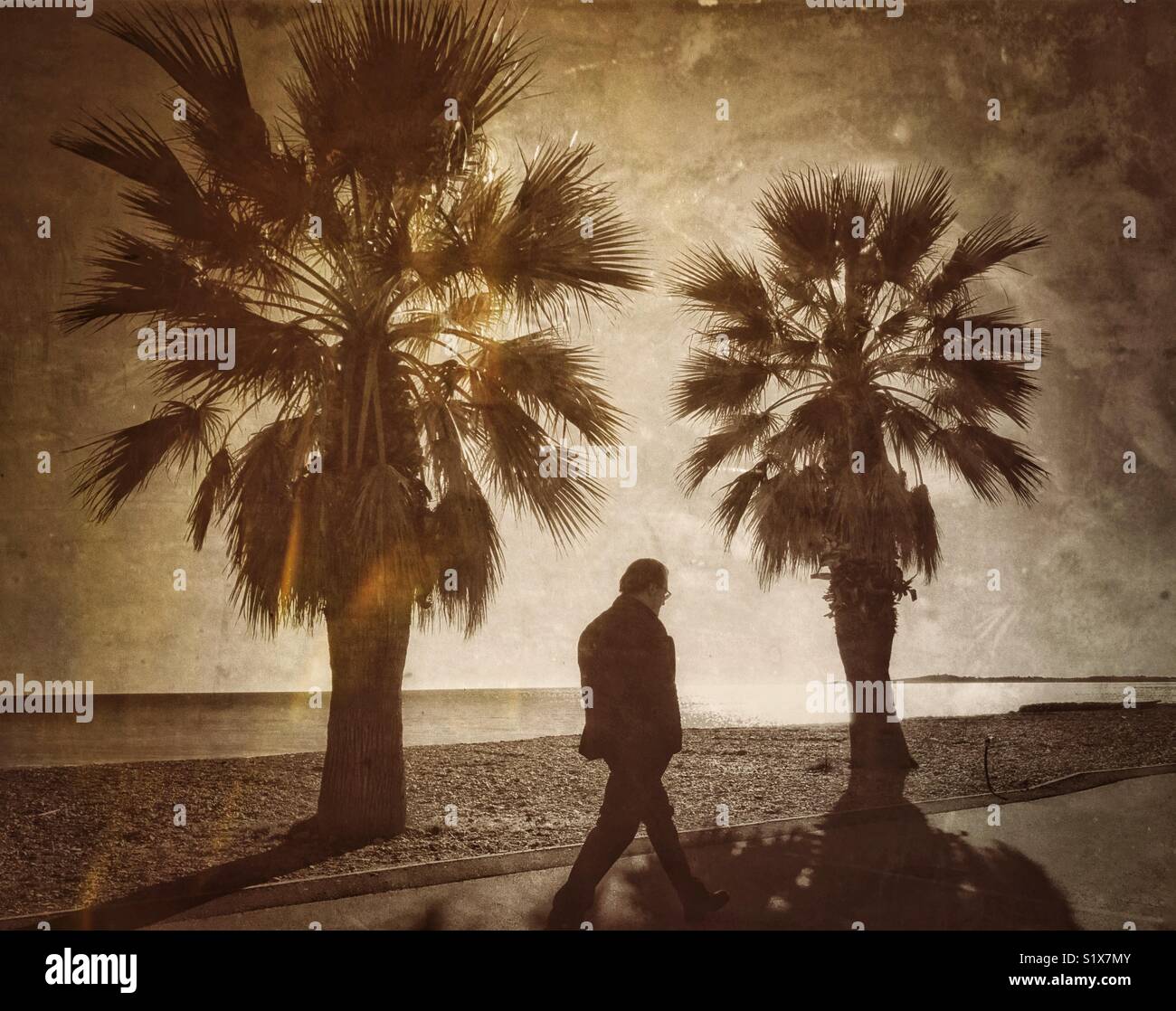 A lone man walks along a path and in between two palm trees. An antique effect image with mood, atmosphere & interest! Photo Credit - © COLIN HOSKINS. - Smartphone Captured Stock Image