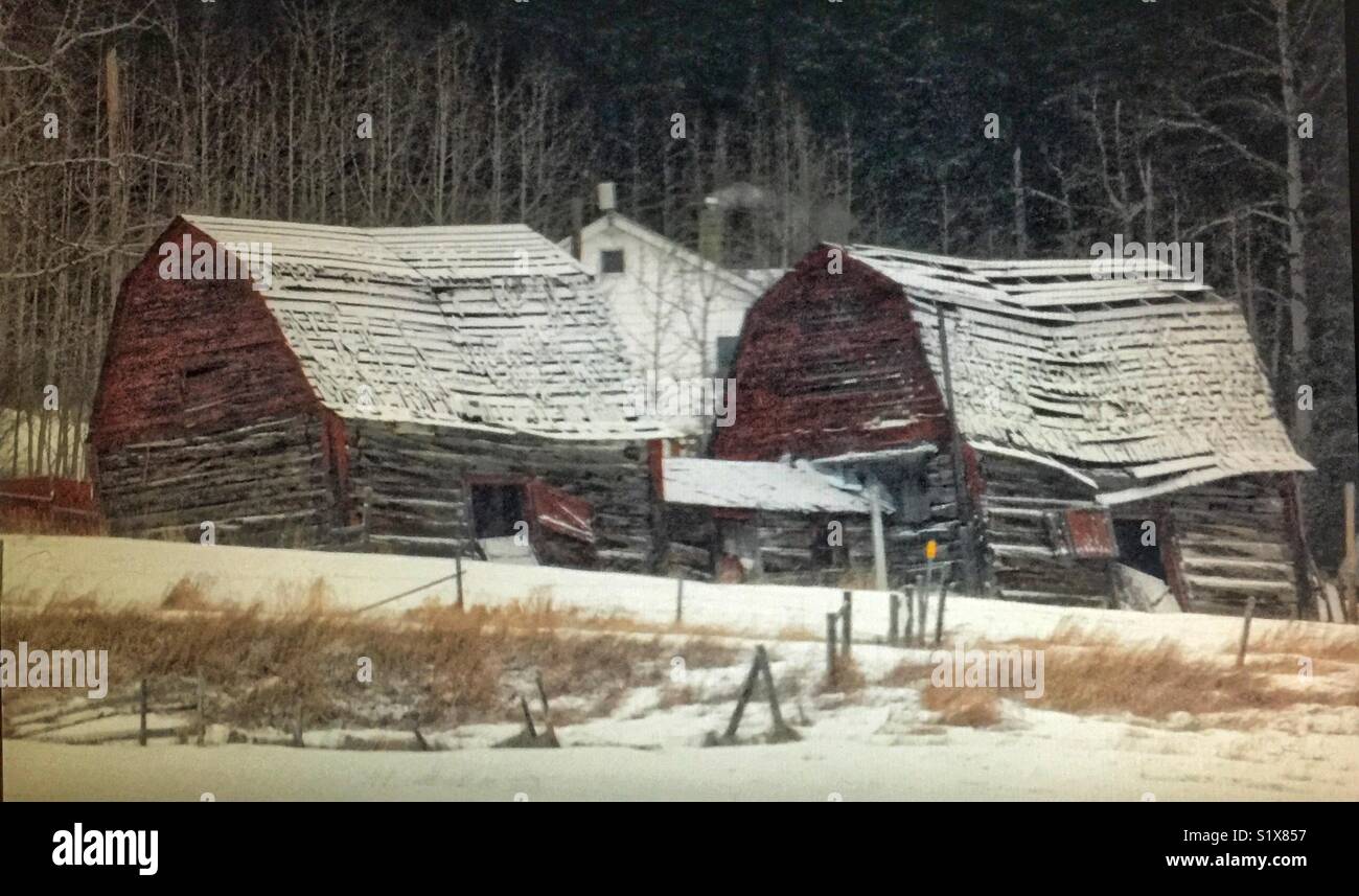 Two old barns - Smartphone Captured Stock Image