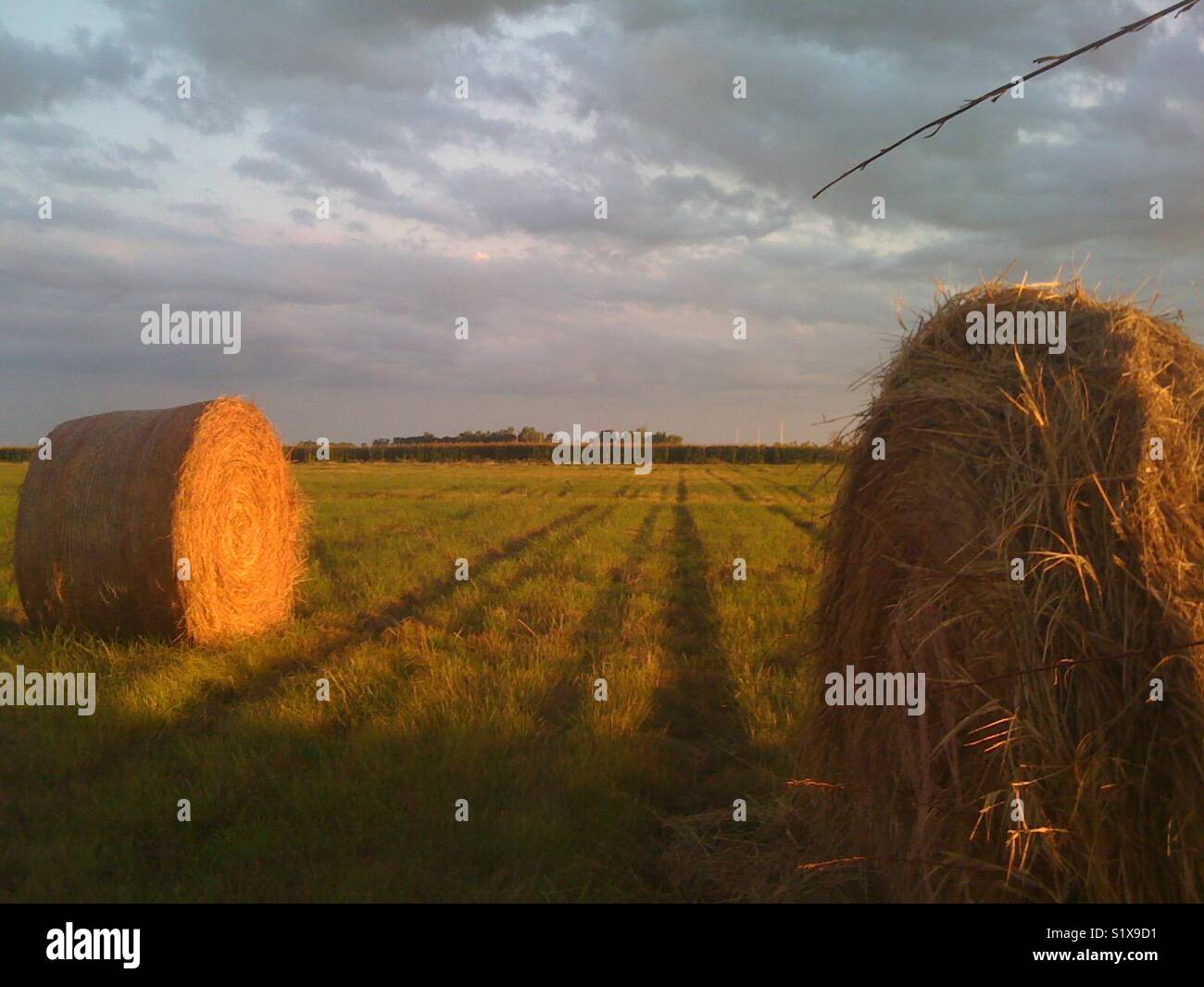 Bales of hay in Eastern Minnesota, USA. - Smartphone Captured Stock Image