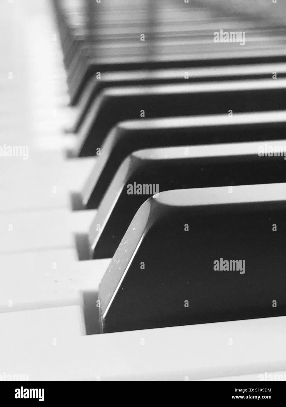 Close up photography of piano keys in black and white this shows some reflection of the light created by exposure