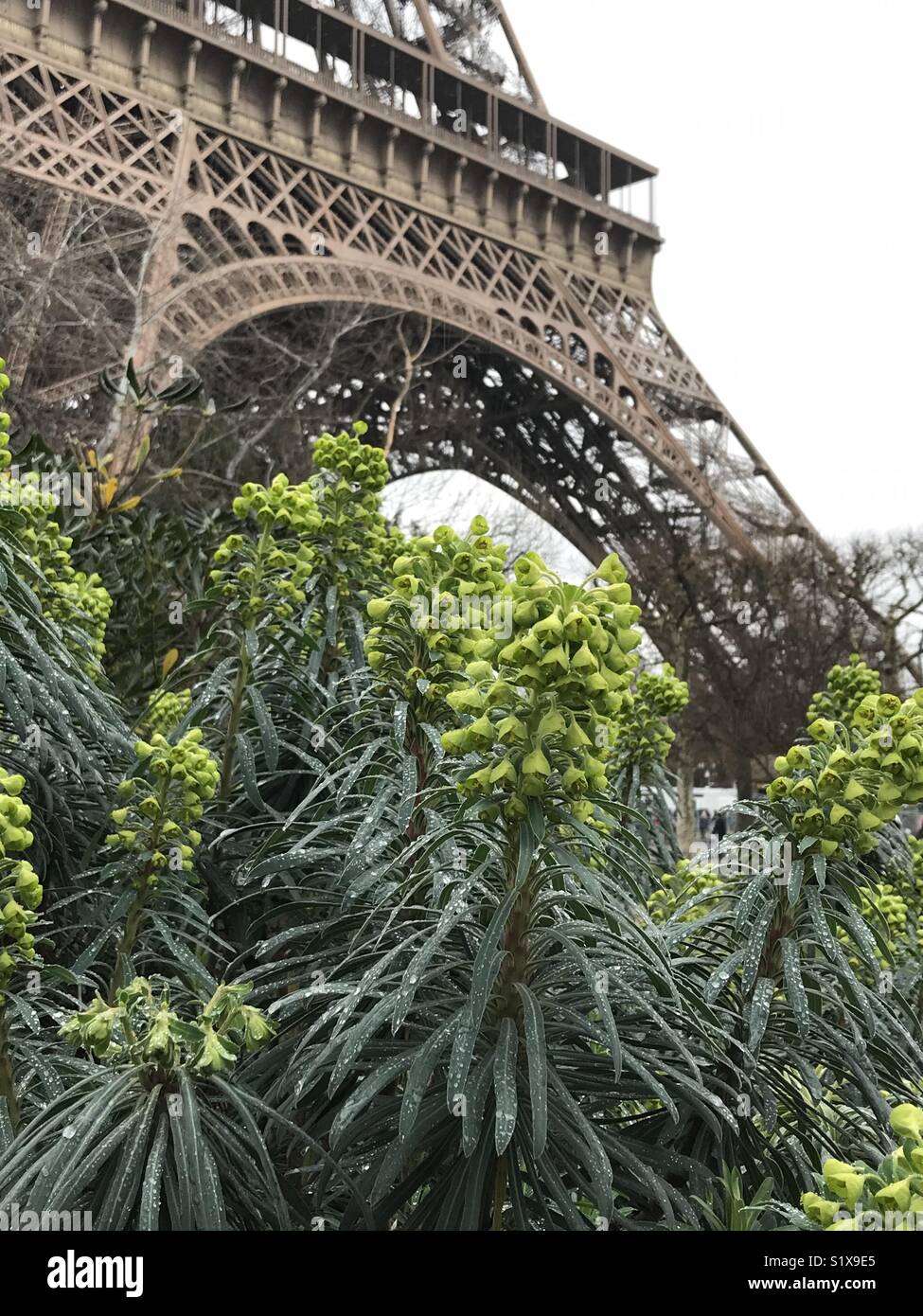 At the feet of Eiffel Tower, a cold and rainy winter. - Smartphone Captured Stock Image