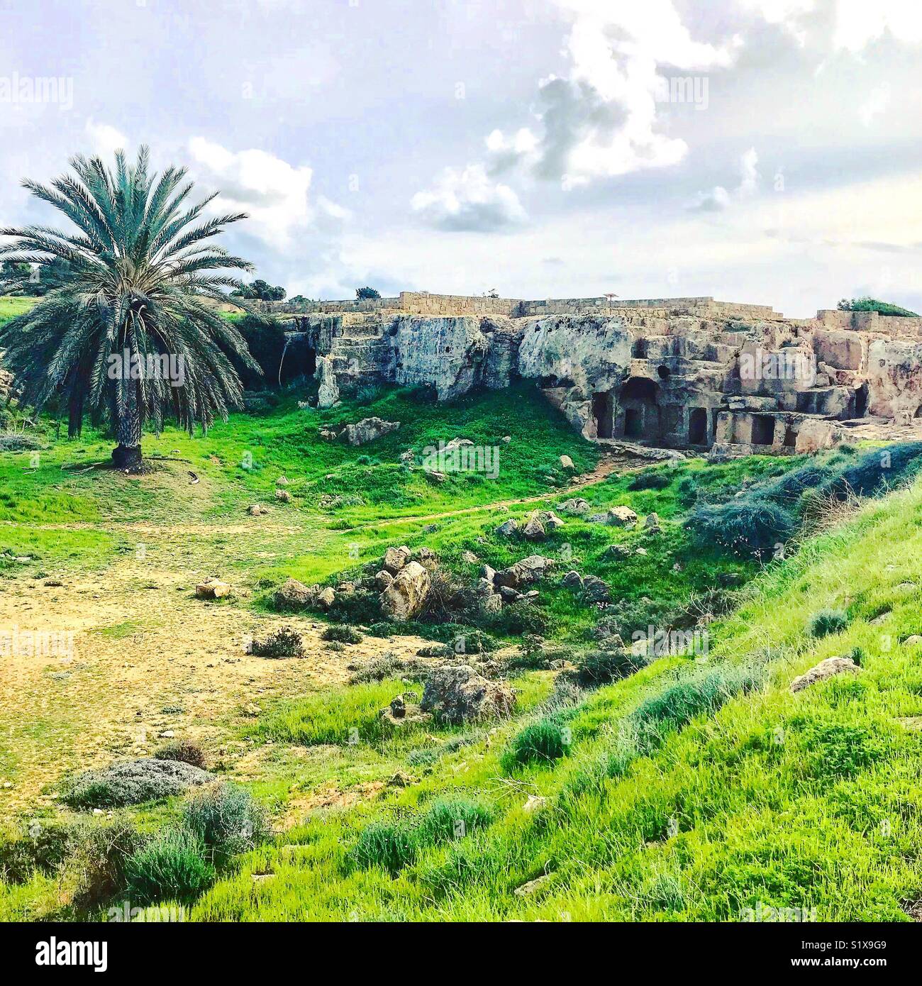 My Image 16