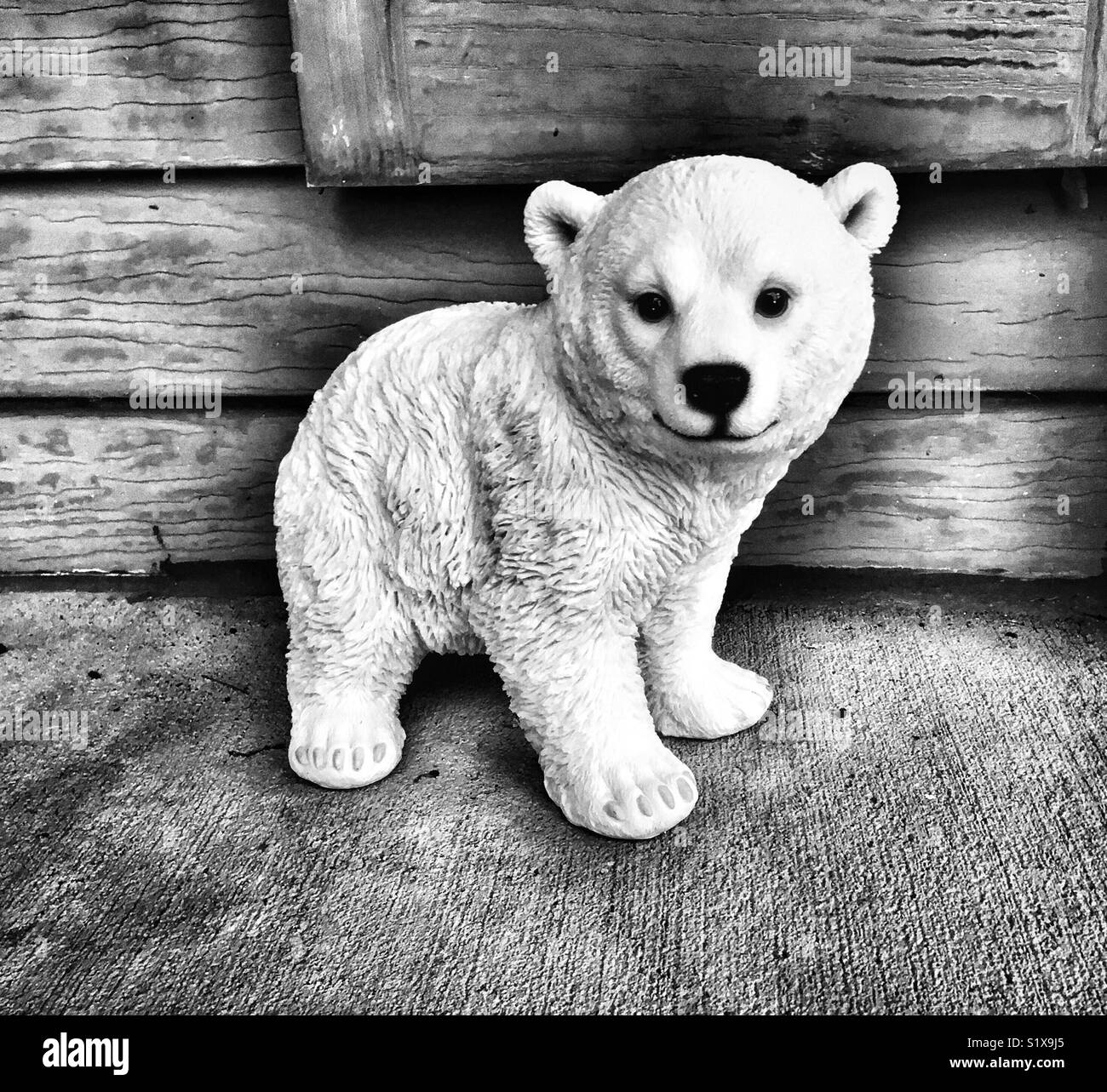 Polar bear cub statue outside of a house - Smartphone Captured Stock Image