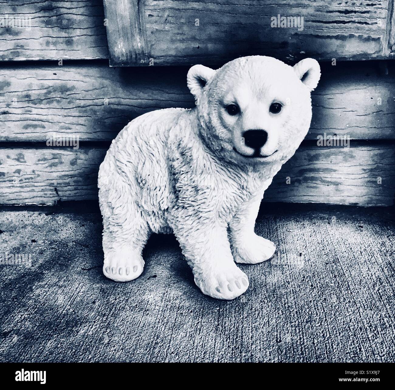 Polar bear cub statue outside of a house - Smartphone Captured Stock Image