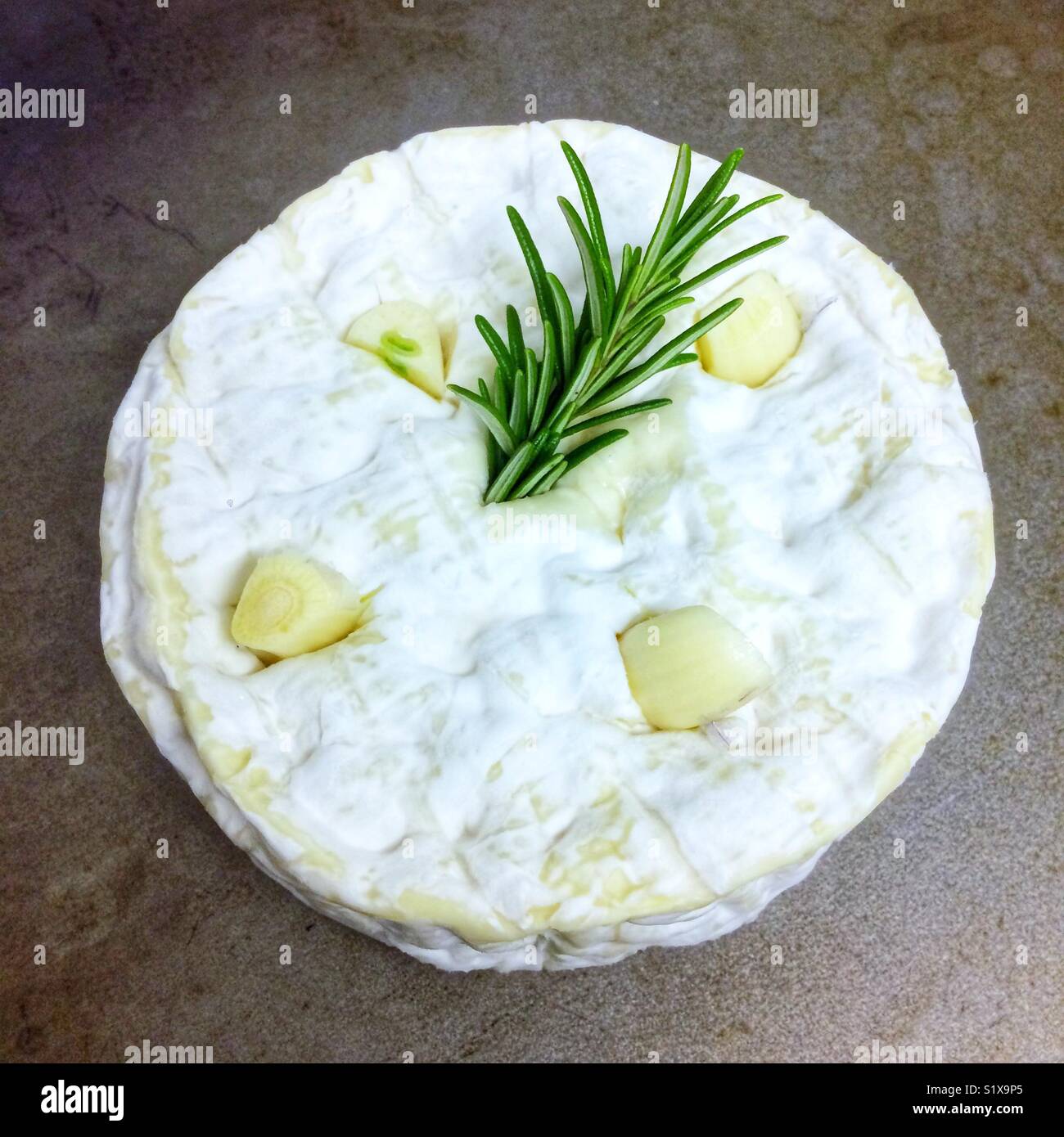 Whole Camembert cheese with garlic and rosemary ready to be baked in the oven. - Smartphone Captured Stock Image