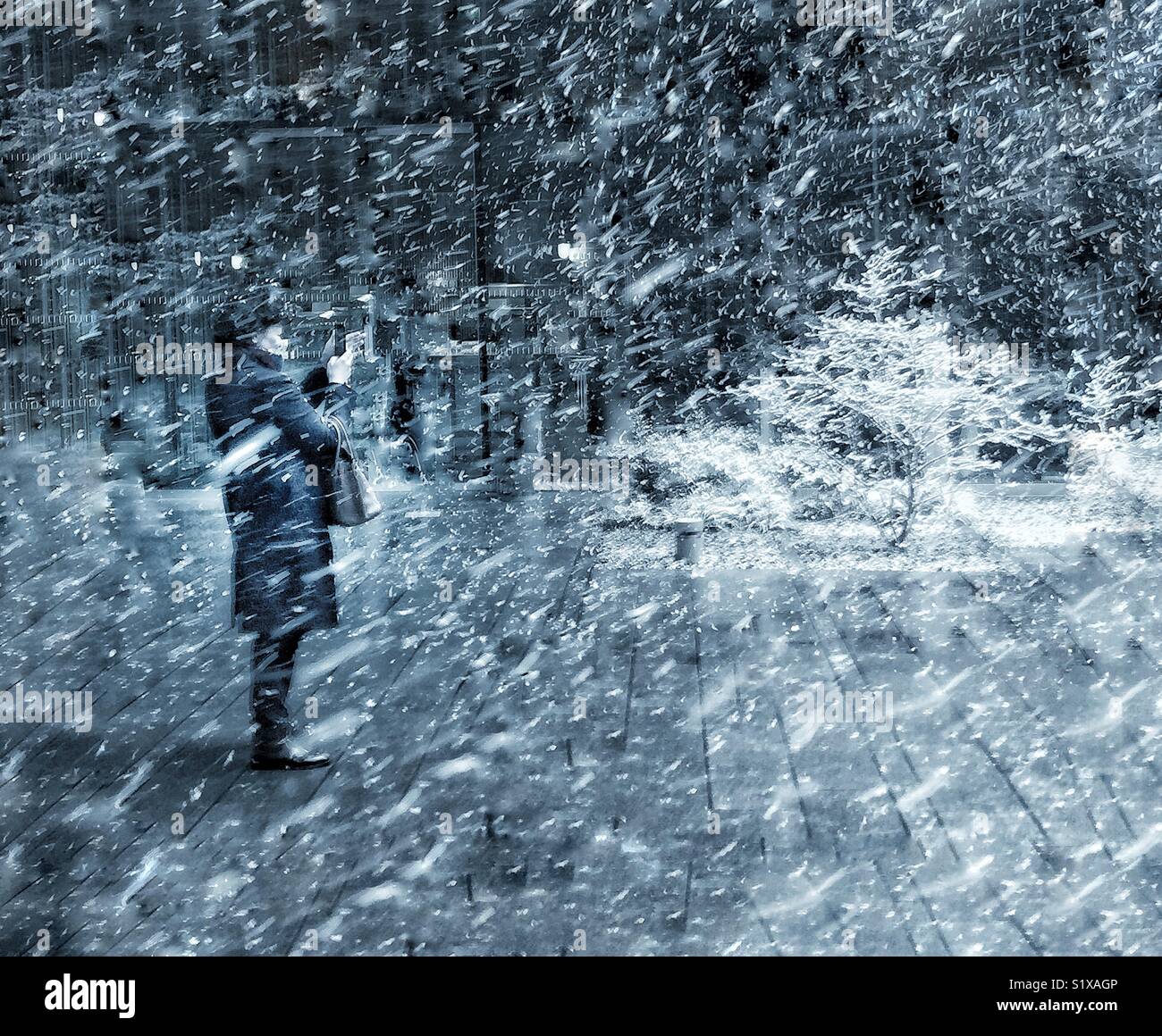 A woman taking a mobile phone picture of a snowstorm. - Smartphone Captured Stock Image