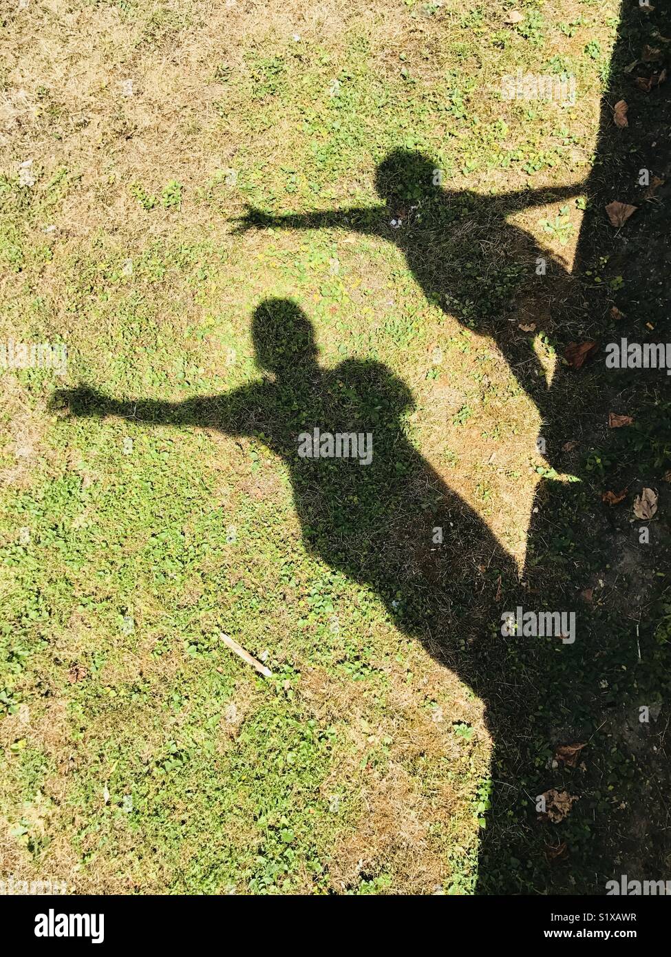 Equilibrium shadows in a park, France Stock Photo