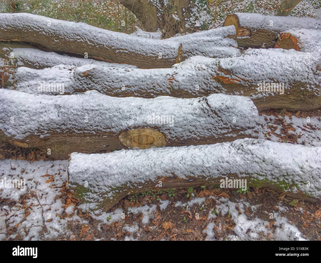 Logs with a sprinkling of snow. - Smartphone Captured Stock Image