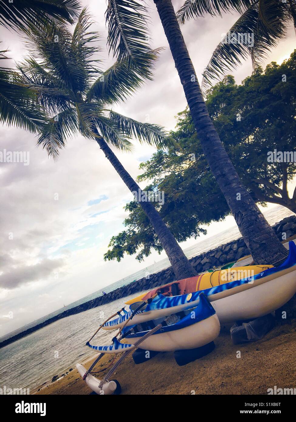 Outrigger canoes on a beach next to palm trees. Stock Photo